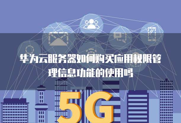 华为云服务器如何购买应用权限管理信息功能的使用吗