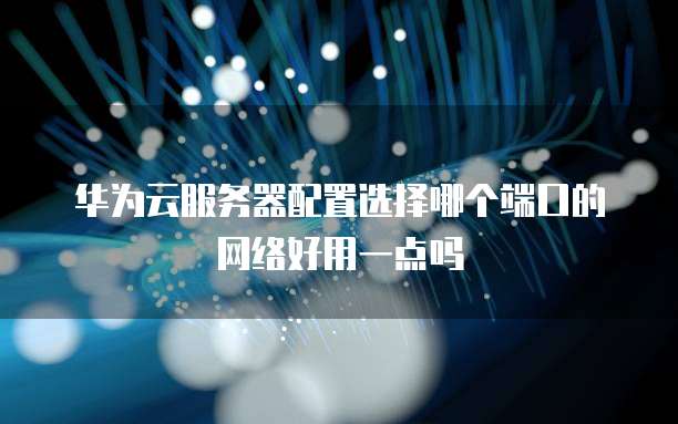 华为云服务器配置选择哪个端口的网络好用一点吗