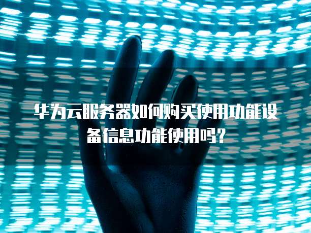 华为云服务器如何购买使用功能设备信息功能使用吗?