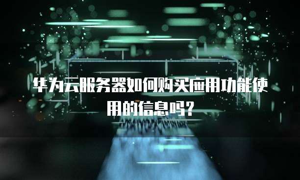 华为云服务器如何购买应用功能使用的信息吗?