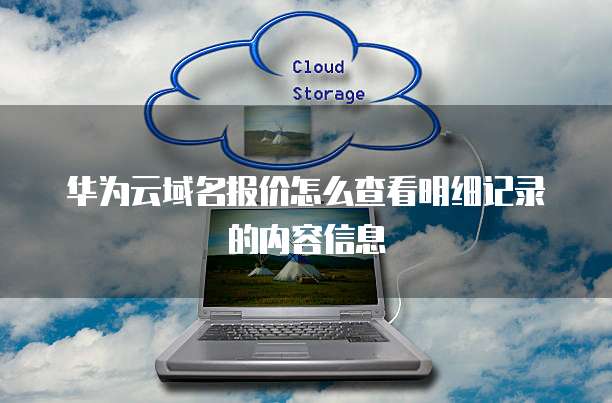华为云域名报价怎么查看明细记录的内容信息