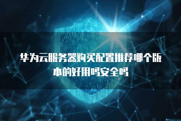 华为云服务器购买配置推荐哪个版本的好用吗安全吗