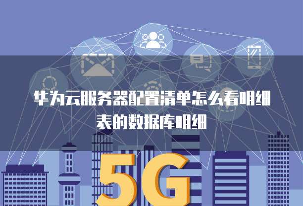 华为云服务器配置清单怎么看明细表的数据库明细