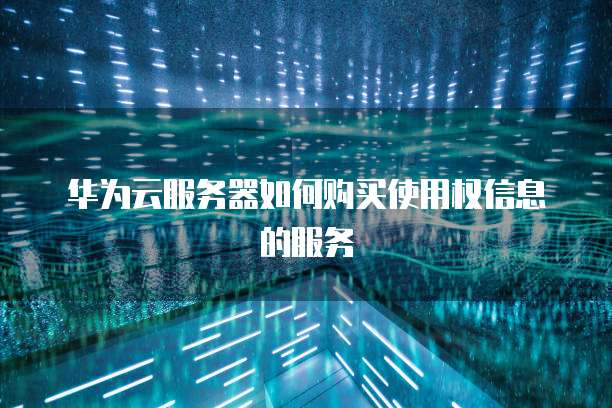 华为云服务器如何购买使用权信息的服务