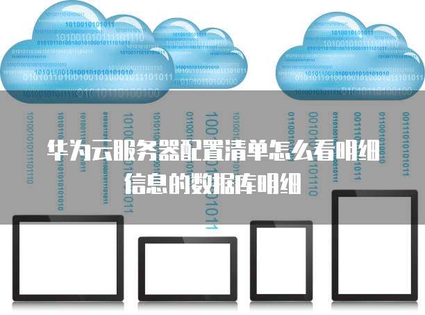 华为云服务器配置清单怎么看明细信息的数据库明细