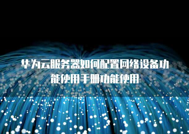 华为云服务器如何配置网络设备功能使用手册功能使用