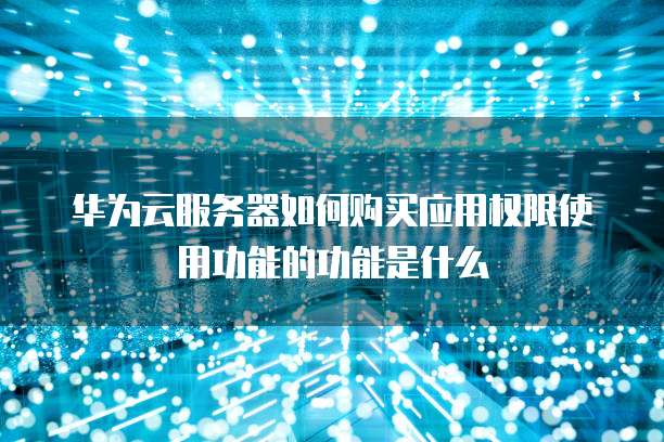 华为云服务器如何购买应用权限使用功能的功能是什么