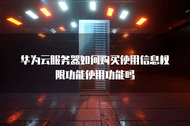 华为云服务器如何购买使用信息权限功能使用功能吗