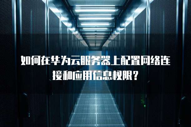 如何在华为云服务器上配置网络连接和应用信息权限?