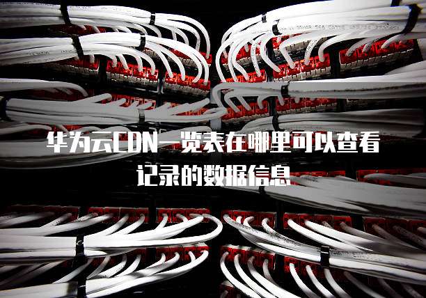 华为云CDN一览表在哪里可以查看记录的数据信息