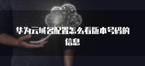 华为云域名配置怎么看版本号码的信息