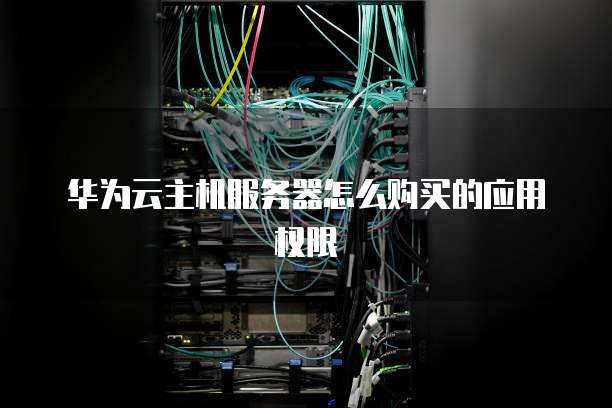 华为云主机服务器怎么购买的应用权限