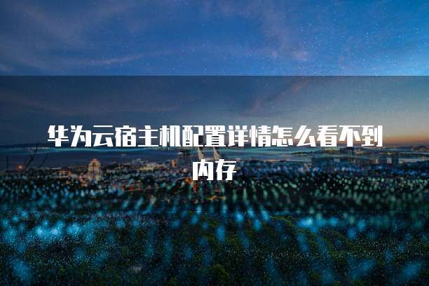 华为云宿主机配置详情怎么看不到内存