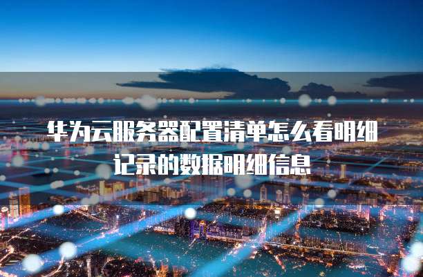 华为云服务器配置清单怎么看明细记录的数据明细信息