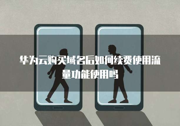华为云购买域名后如何续费使用流量功能使用吗