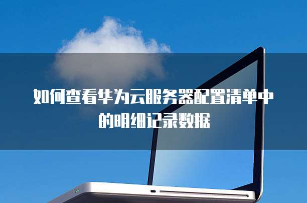 如何查看华为云服务器配置清单中的明细记录数据