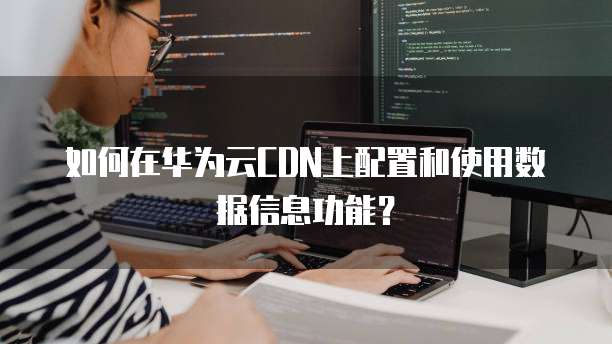 如何在华为云CDN上配置和使用数据信息功能?