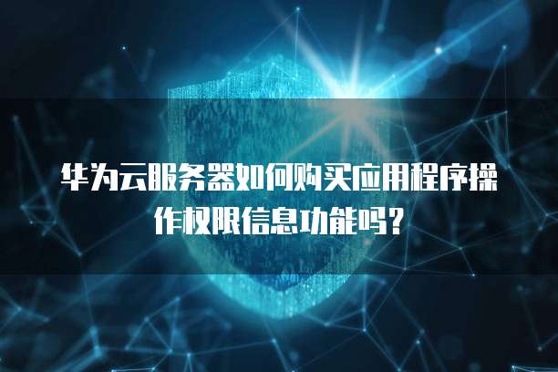 华为云服务器如何购买应用程序操作权限信息功能吗？