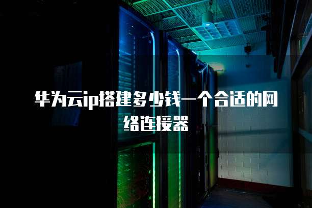 华为云ip搭建多少钱一个合适的网络连接器