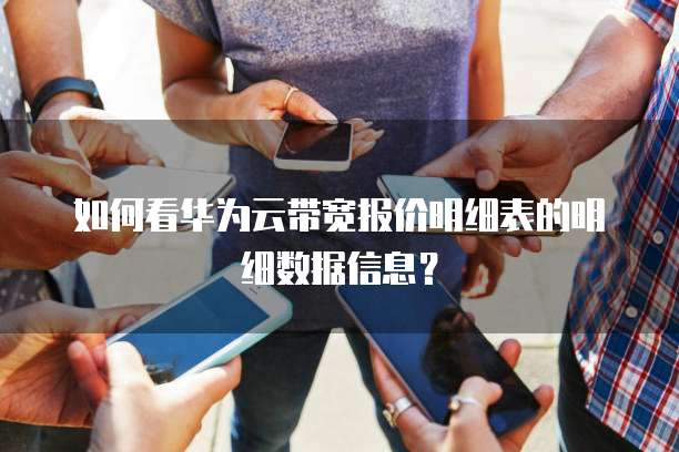 如何看华为云带宽报价明细表的明细数据信息?