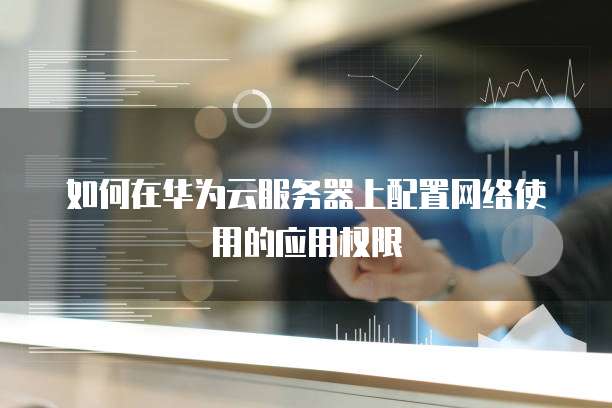如何在华为云服务器上配置网络使用的应用权限