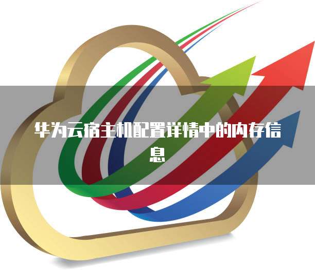 华为云宿主机配置详情中的内存信息