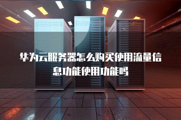 华为云服务器怎么购买使用流量信息功能使用功能吗