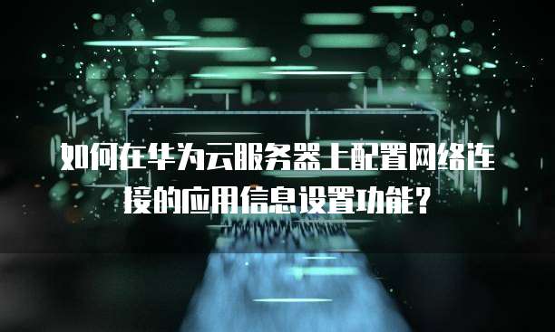 如何在华为云服务器上配置网络连接的应用信息设置功能？