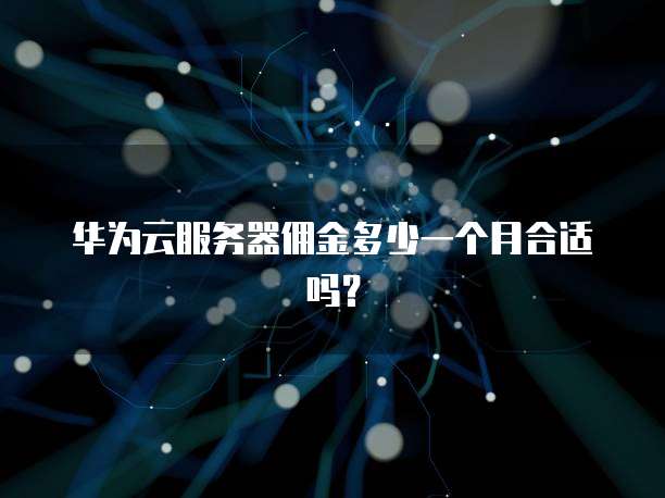 华为云服务器佣金多少一个月合适吗？