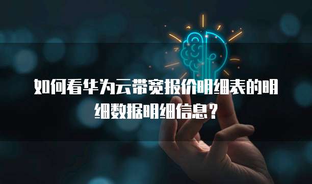 如何看华为云带宽报价明细表的明细数据明细信息?