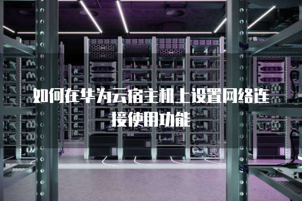 如何在华为云宿主机上设置网络连接使用功能