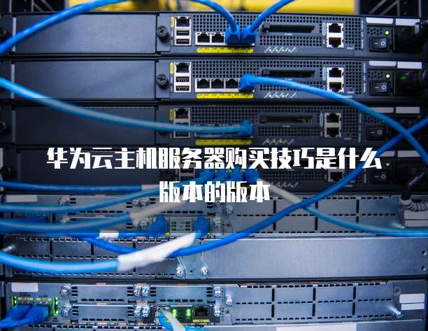 华为云主机服务器购买技巧是什么版本的版本