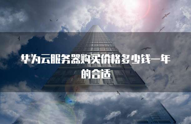 华为云服务器购买价格多少钱一年的合适