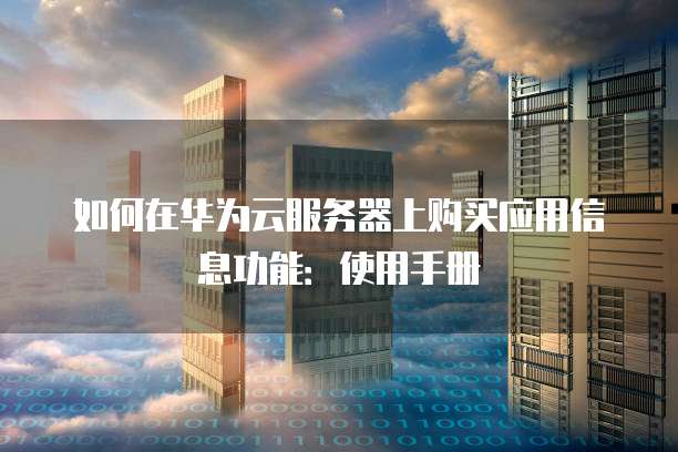 如何在华为云服务器上购买应用信息功能:使用手册