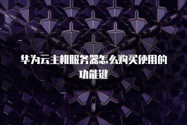 华为云主机服务器怎么购买使用的功能键