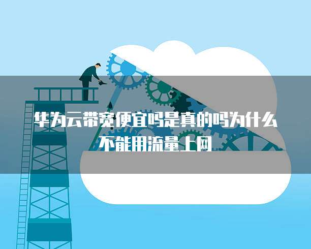 华为云带宽便宜吗是真的吗为什么不能用流量上网