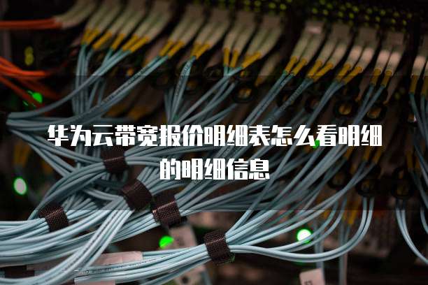 华为云带宽报价明细表怎么看明细的明细信息