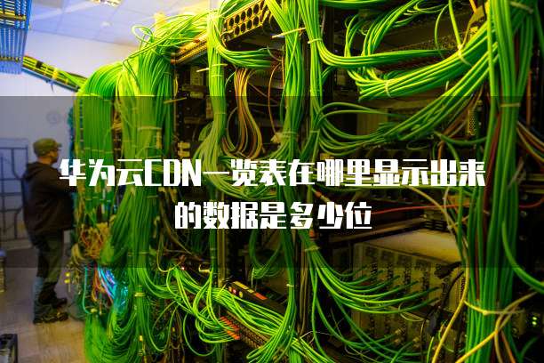 华为云CDN一览表在哪里显示出来的数据是多少位