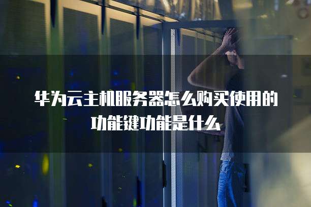 华为云主机服务器怎么购买使用的功能键功能是什么