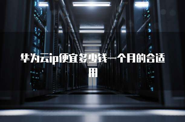 华为云ip便宜多少钱一个月的合适用