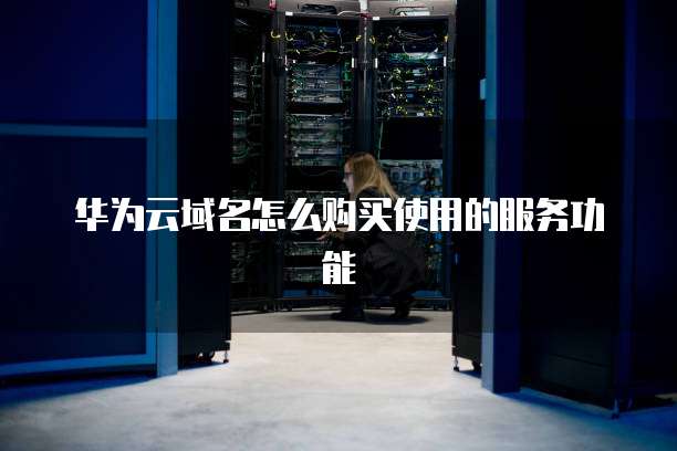 华为云域名怎么购买使用的服务功能