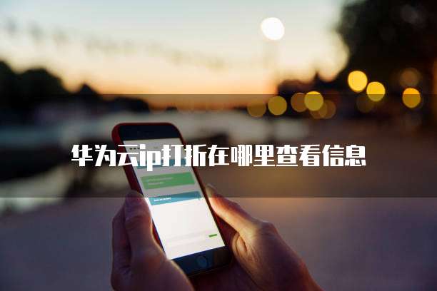 华为云ip打折在哪里查看信息