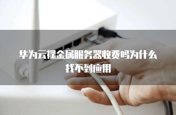 华为云裸金属服务器收费吗为什么找不到应用