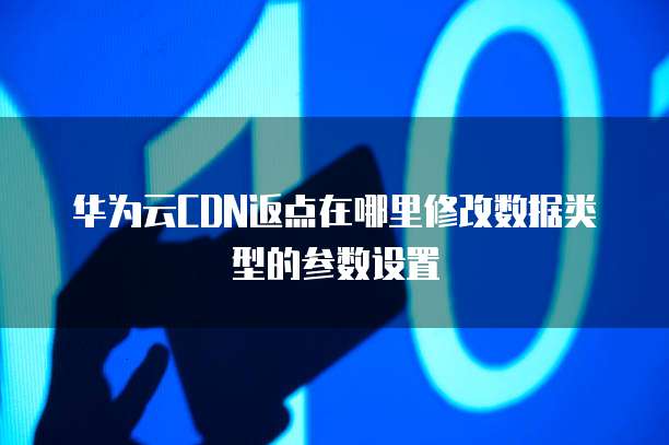 华为云CDN返点在哪里修改数据类型的参数设置