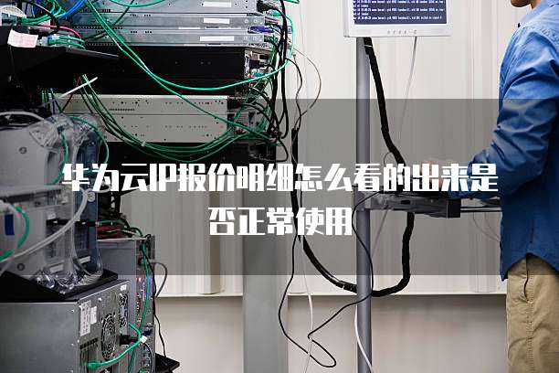 华为云IP报价明细怎么看的出来是否正常使用