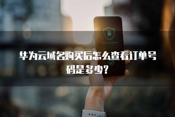 华为云域名购买后怎么查看订单号码是多少?
