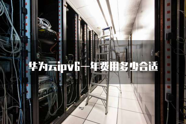 华为云ipv6一年费用多少合适