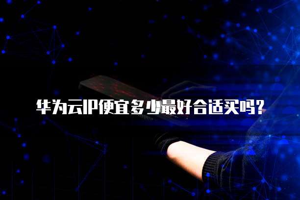 华为云IP便宜多少最好合适买吗?