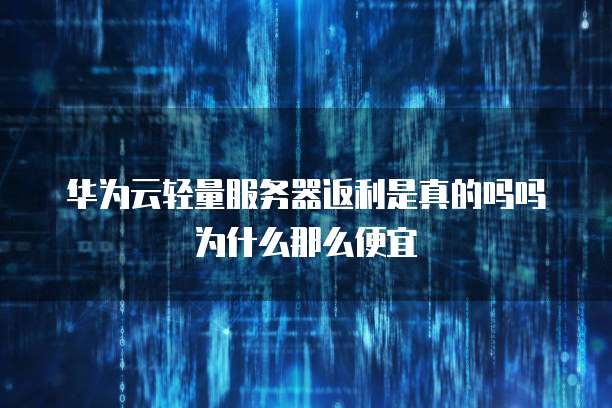 华为云轻量服务器返利是真的吗吗为什么那么便宜