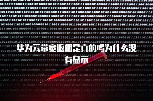 华为云带宽返佣是真的吗为什么没有显示